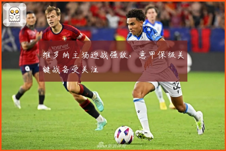 维罗纳主场迎战强敌，意甲保级关键战备受关注