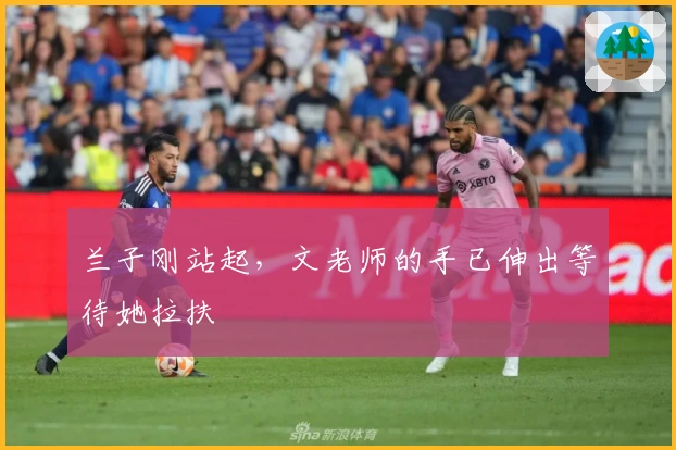 兰子刚站起，文老师的手已伸出等待她拉扶